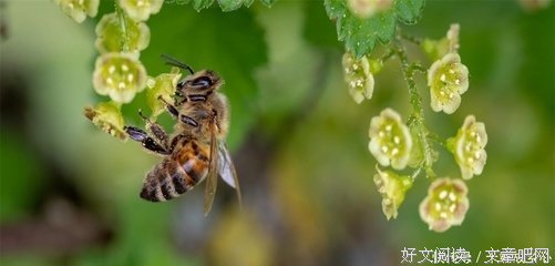 关于Queen_cc35名言大全