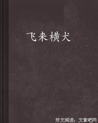 《飞来横犬》经典句子