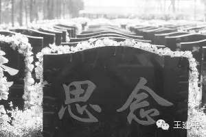 最全的《啼们家然天皆非》名句欣赏