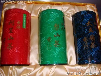 《山茶花》经典观后感1000字