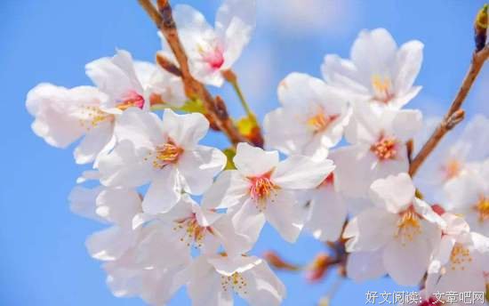 给岁月以温柔待时光之静好