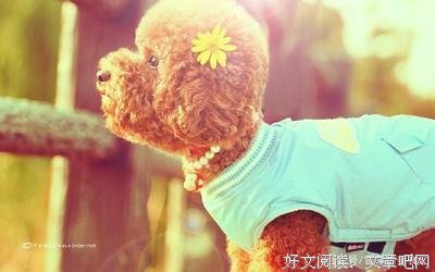 我最想上的情商课读后感摘抄