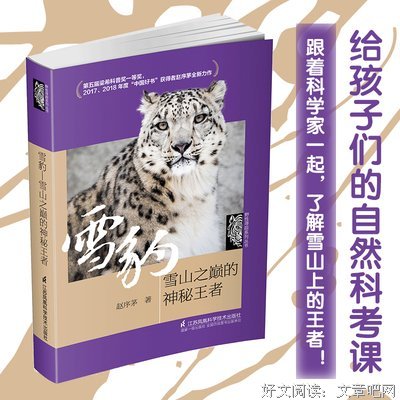 雪山之书经典读后感有感