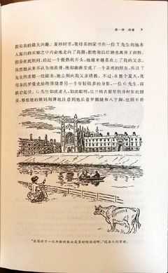 碧河彼时读后感摘抄
