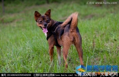 Android高薪之路经典读后感有感