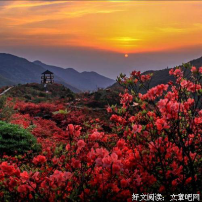 关于漫山遍野的名句摘抄