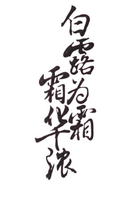 白露为霜霜华浓（上下）的读后感大全