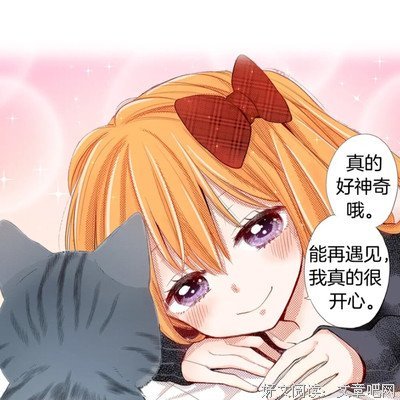 喵了个咪读后感锦集