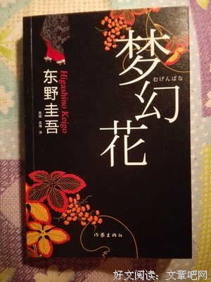 《欲盖弥彰》读后感1000字