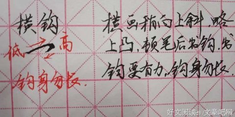 钩出蕾丝般美丽生活读后感锦集
