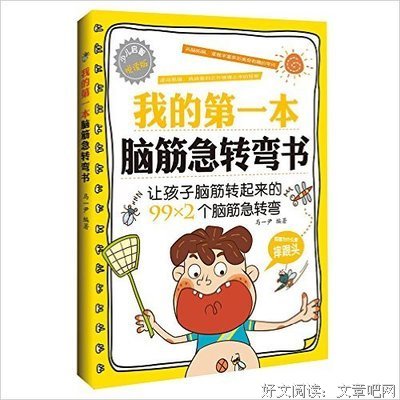 Web开发敏捷之道读后感100字