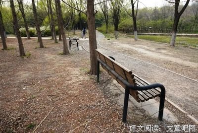 存在主义心理咨询的读后感大全