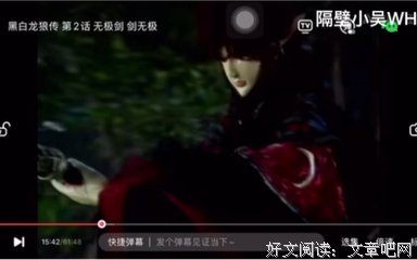 《黑白龙狼传》观后感精选
