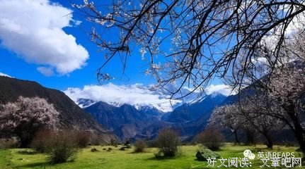捷径开地是绝境句子大全