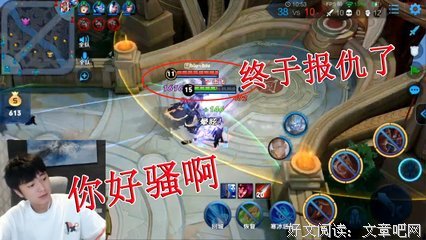 《怒火凤凰》经典观后感集