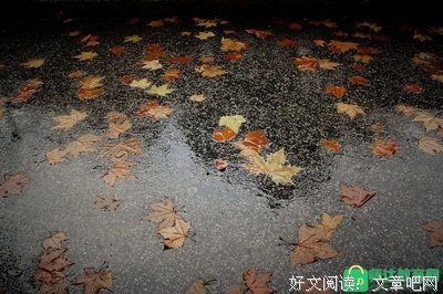关于清风的优美句子