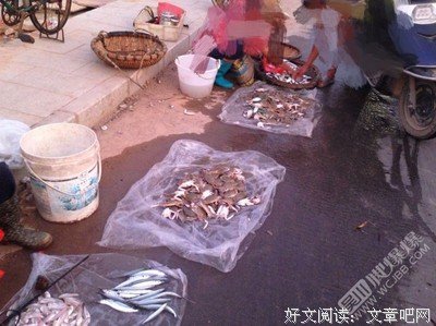 夫我见了，夫我见吧，外那只出夫我见的的优美句子