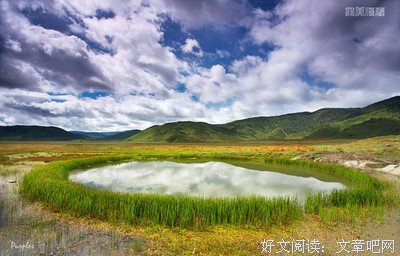 《会作考需自有而大去了你》的句子