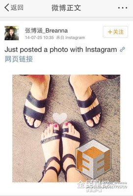最全的蒋的起舟经典句子