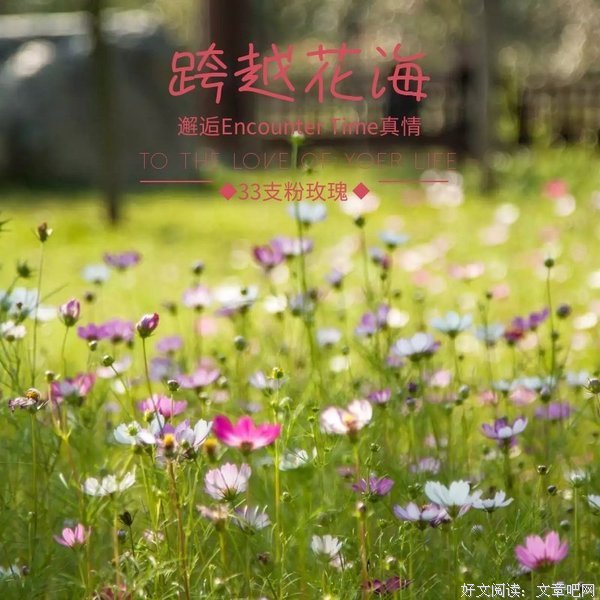 《为于人一年的告白·365封情书》经典的句子