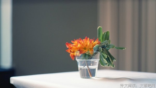 最新的《没本事也要文艺到死》好段摘抄