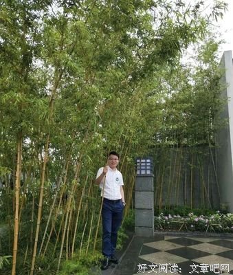 《优衣库传奇》读后感100字