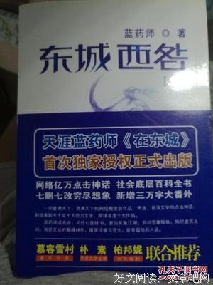《东城西咎（上下册）》经典读后感有感