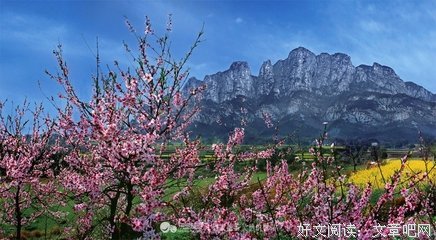 妙笔生花的秘密读后感摘抄