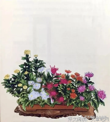 《花道的美学》读后感锦集