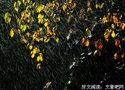 今日立冬：愿你三冬暖，不惧岁月寒