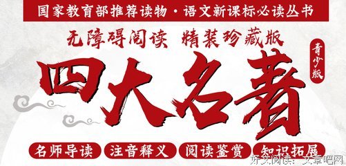 怎样解题经典读后感有感