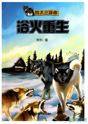 复仇之书读后感1000字