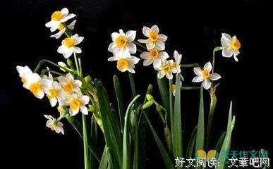 《去远方长大》读后感锦集