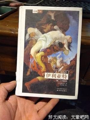 《伊利亚特》的读后感大全