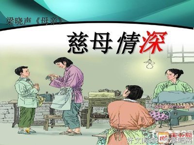 《最后我们留给世界的》读后感锦集