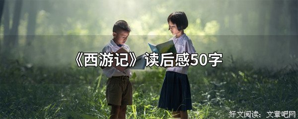 设计的善意读后感100字