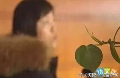 《越活越明白》观后感100字
