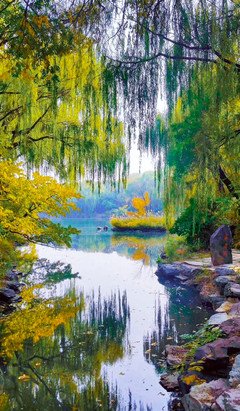 《未名》的句子