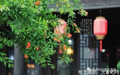 关于幽梦影的优美句子