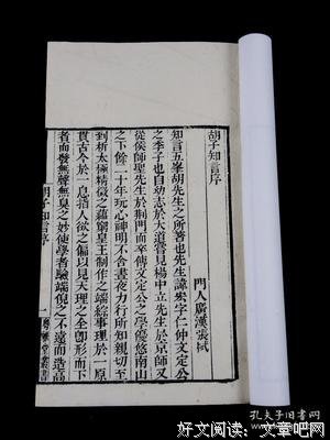 《幸存的生命（理论与实践）》影评精选