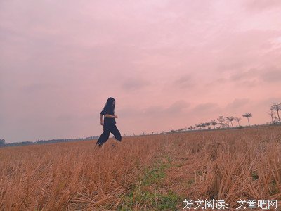 《匿名者》的句子