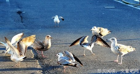 子和想国度名句欣赏