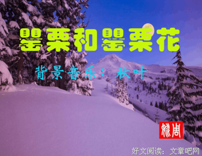 南国·罂粟经典名句