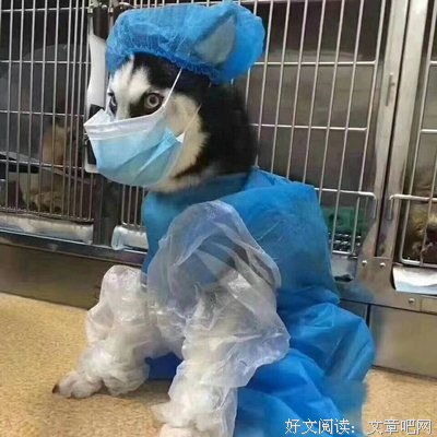 阿尘名言大全