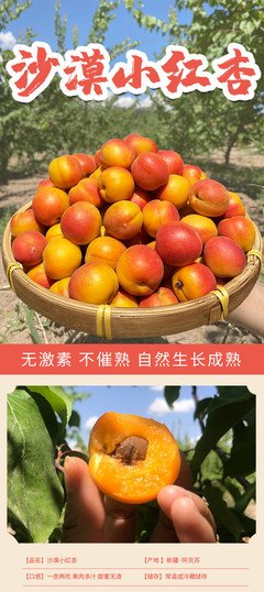 最全的小红杏的名句