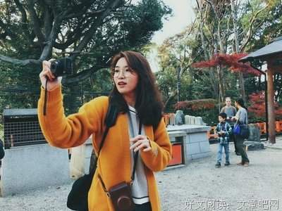 最全的《佛铃花，梦落长安》好段摘抄大全