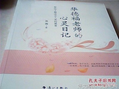 华德福老师的心灵日记读后感100字