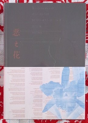 阴性阅读，阳性写作读后感摘抄