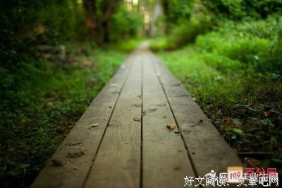 左顾右盼格言警句