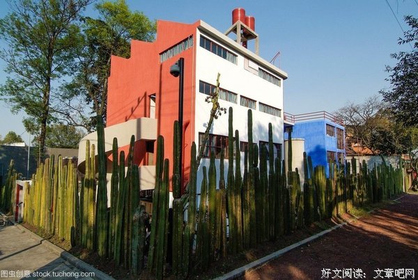 迭戈和弗里达读后感摘抄